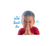 853599244