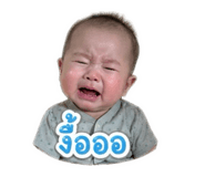 853599645