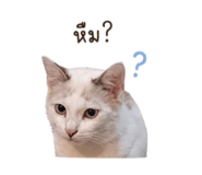 853599762