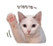853599765