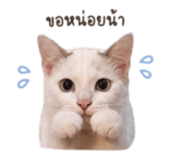 853599769