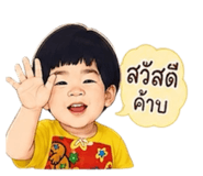 853600817