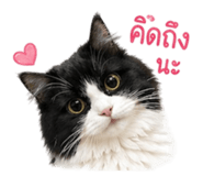 853601969