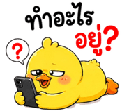 853602428