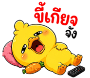 853602430