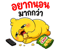 853602431