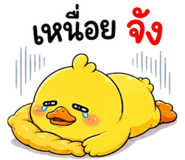 853602434