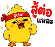 853602438