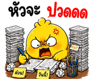 853602442