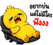 853602443