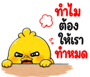 853602446
