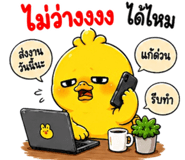853602448