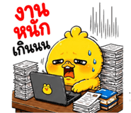 853602449
