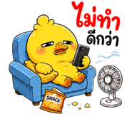 853602455