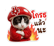 853604359