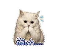 853604404