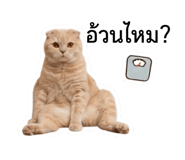 853605203
