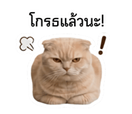 853605207