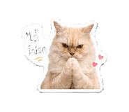 853605291