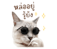 853605734
