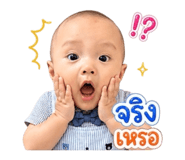 853606131