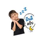 853606487