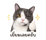 853608122