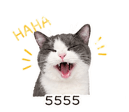 853608123