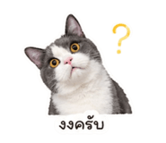 853608130