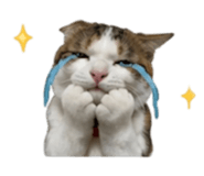 853608283