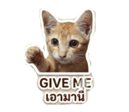 853608329