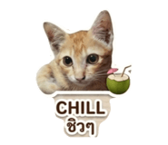 853608332