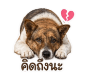 853608349