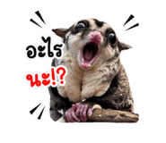 853608407