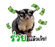 853608414