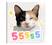 853608620