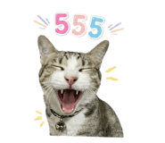 853608638
