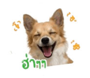853609485