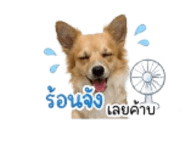 853609492