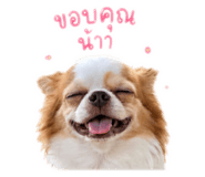 853609742