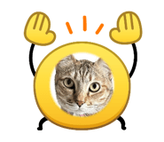 853609776