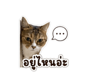 853609966