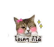 853609967