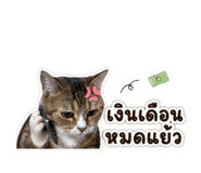 853609968