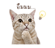 853610434