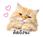 853611163