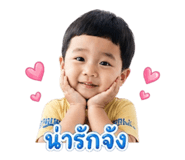 853611244