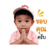 853611371