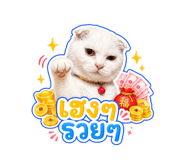 853611651