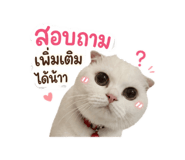 853611652